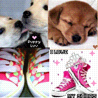 Chiot ...